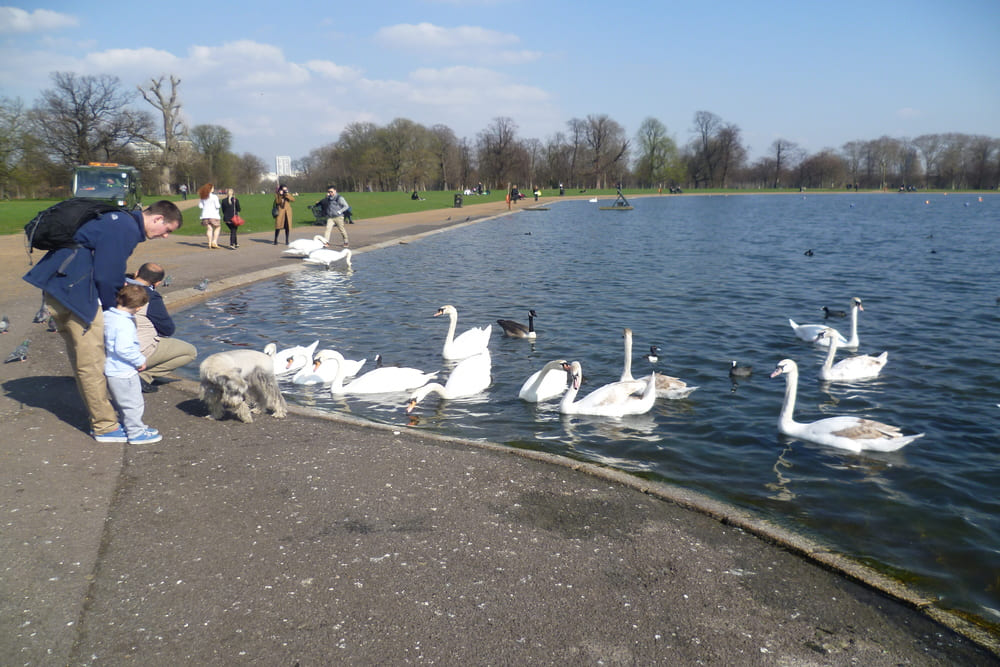 The Round Pond Kensington Garden tour london
