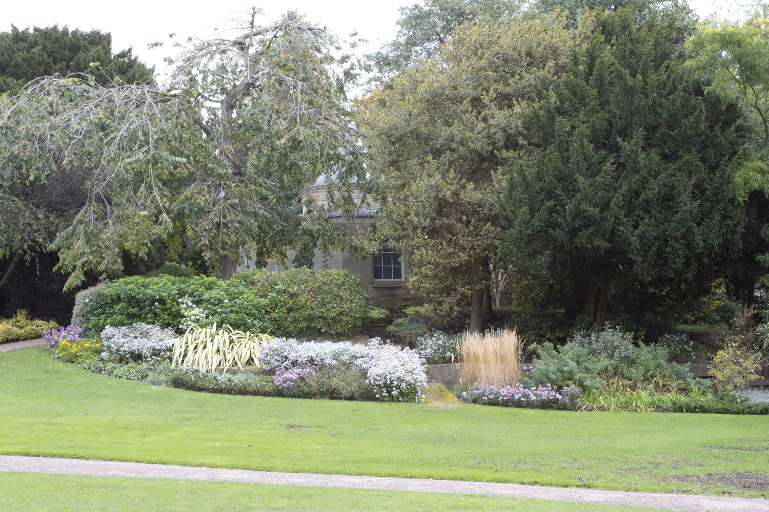 Museum Gardens